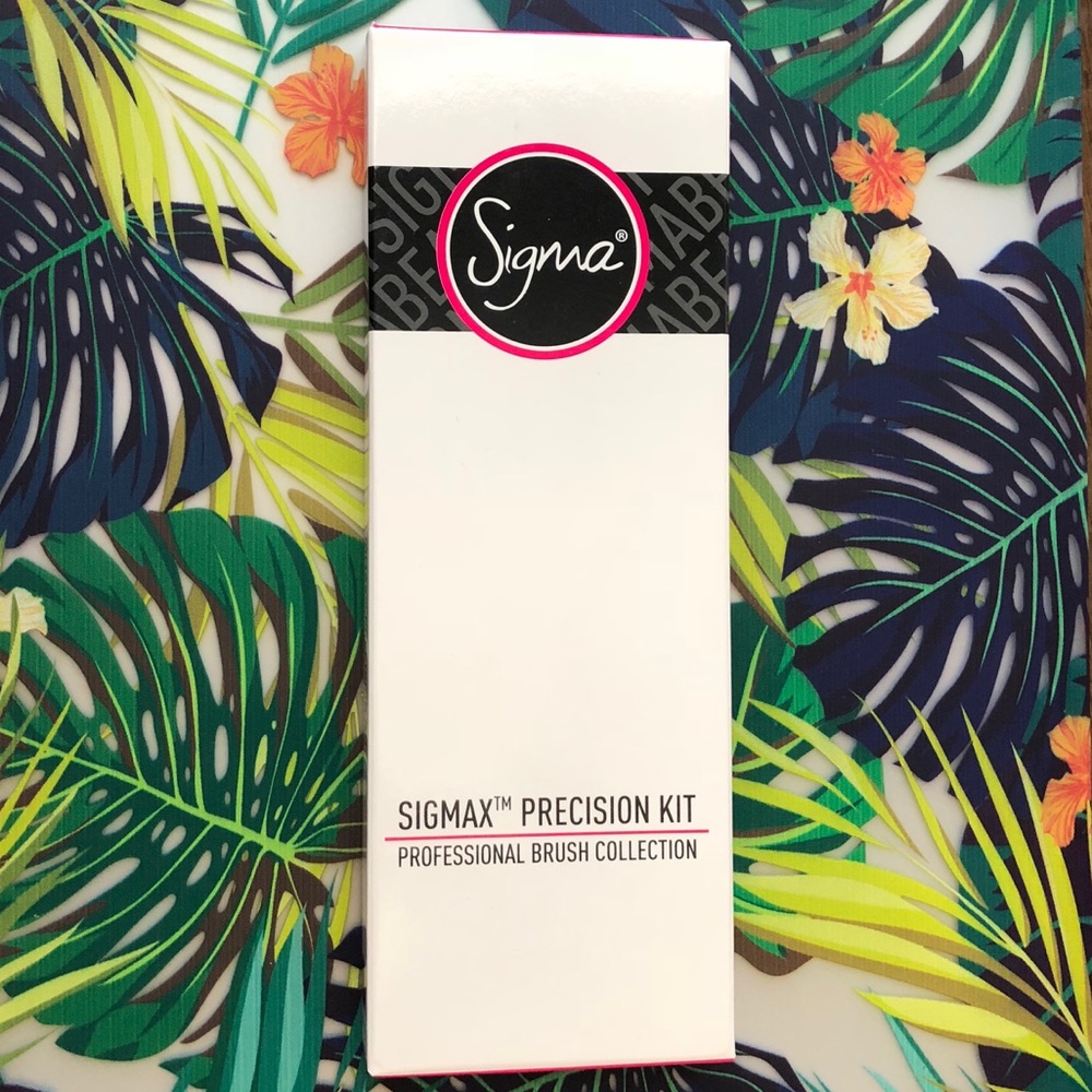 SIGMAX Precision Brush Kit